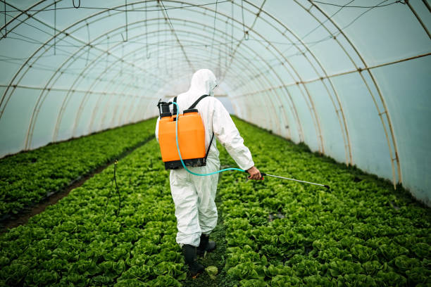 Pest Control for Restaurants in St Martinville, LA