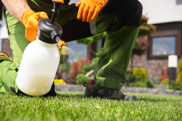 Best Bird Control  in St Martinville, LA