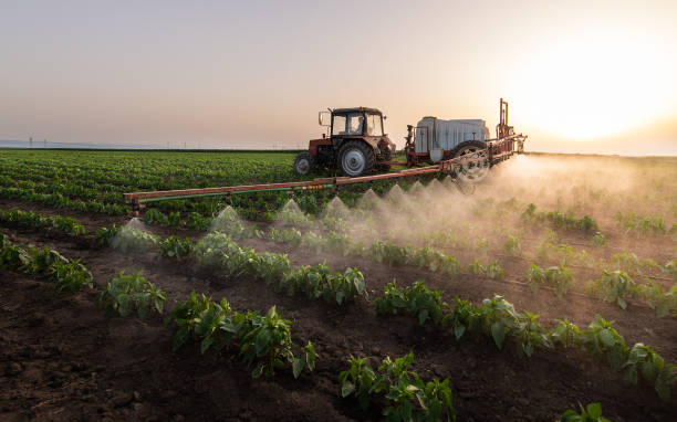 Best Commercial Pest Control Services  in St Martinville, LA