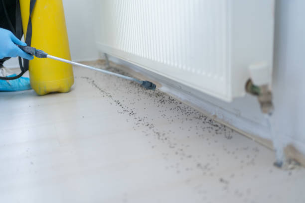 Best Mosquito Control Services  in St Martinville, LA